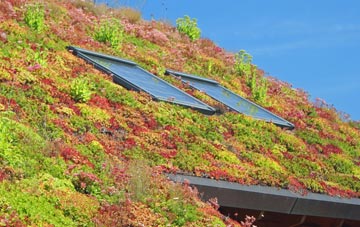 Rixton living roof systems