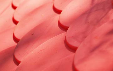 Rixton plastic roof costs