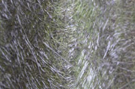 Rixton fibreglass roof work